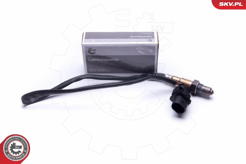 Oxygen Sensor
